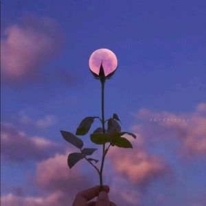 Meet your Posher, Farah